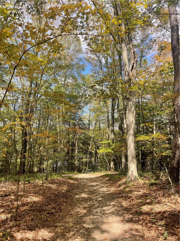 Indian Lake Boro, Pennsylvania 15926, United States, 3 Bedrooms Bedrooms, ,1 BathroomBathrooms,Residential,Active,221983