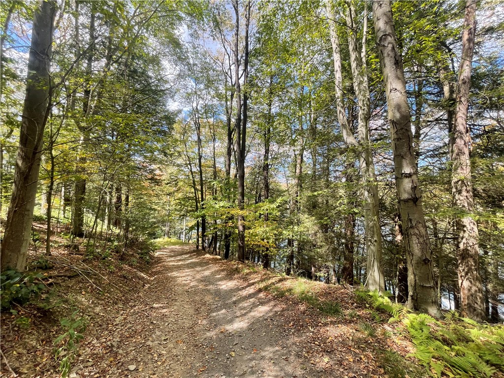 Indian Lake Boro, Pennsylvania 15926, United States, 3 Bedrooms Bedrooms, ,1 BathroomBathrooms,Residential,Active,221983