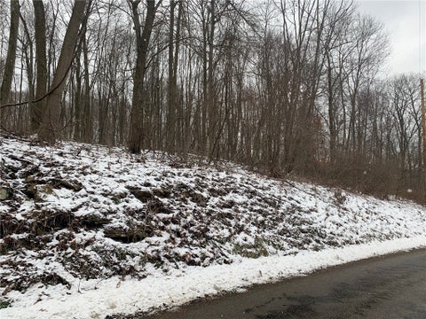 Photo for 00 Thorn Run Rd