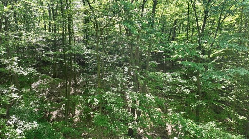 Ross Twp, Pennsylvania 15229, United States, ,Residential,Active,231751