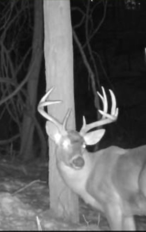 Ross Twp, Pennsylvania 15229, United States, ,Residential,Active,231751