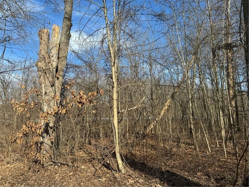 Pulaski Twp - Law, Pennsylvania 16143, United States, ,Residential,Active,6796