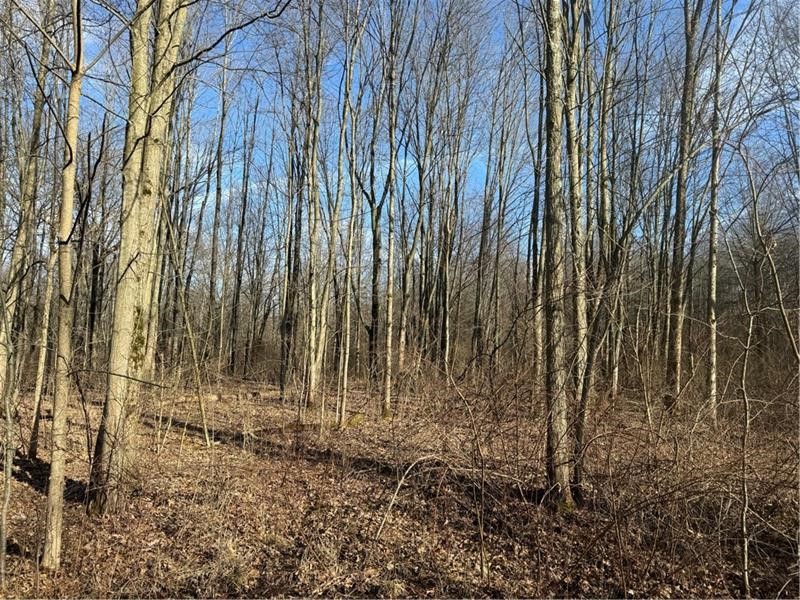 Pulaski Twp - Law, Pennsylvania 16143, United States, ,Residential,Active,6796