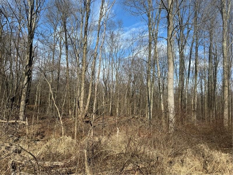 Pulaski Twp - Law, Pennsylvania 16143, United States, ,Residential,Active,6796