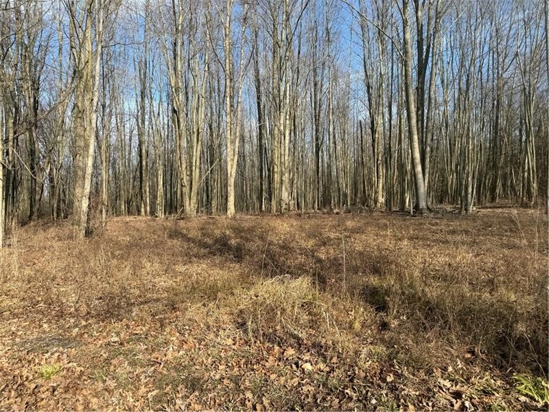 Pulaski Twp - Law, Pennsylvania 16143, United States, ,Residential,Active,6796