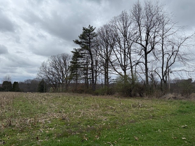 320 Jones Road