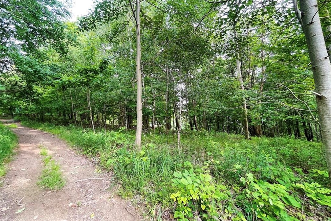 Central City, Pennsylvania 15926, United States, ,Residential,Active,51941