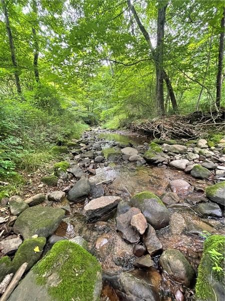 Sandy Lake Twp, Pennsylvania 16342, United States, ,Residential,Active,52585