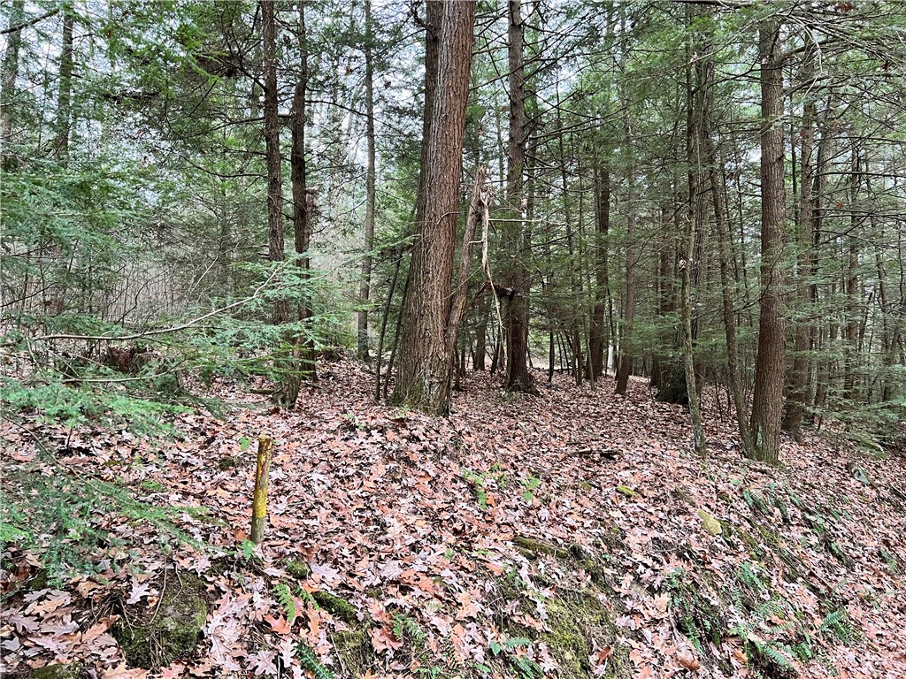 Sligo, Pennsylvania 16255, United States, ,Residential,Active,171580