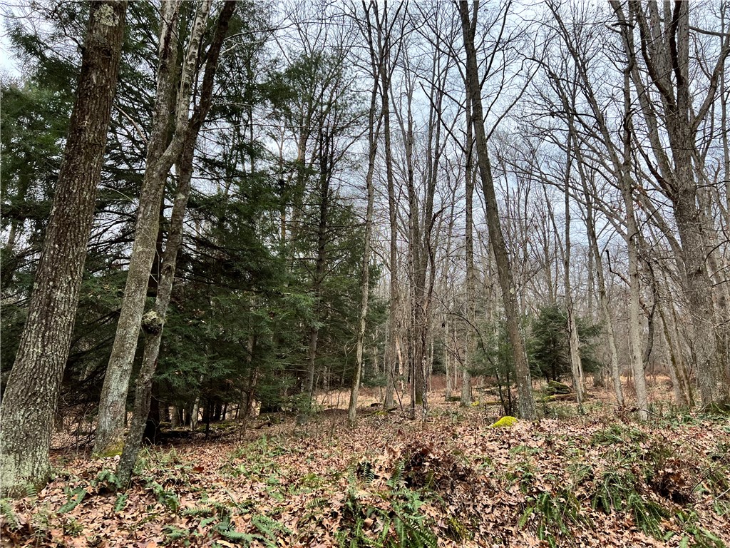 Sligo, Pennsylvania 16255, United States, ,Residential,Active,171580