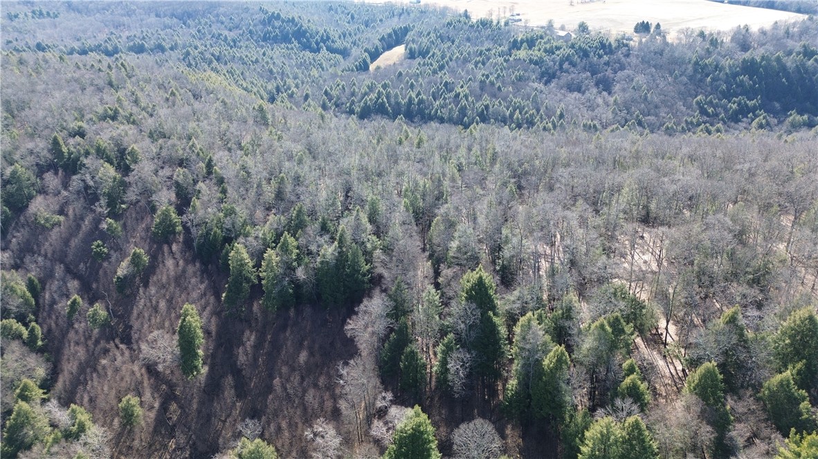 Sligo, Pennsylvania 16255, United States, ,Residential,Active,171580