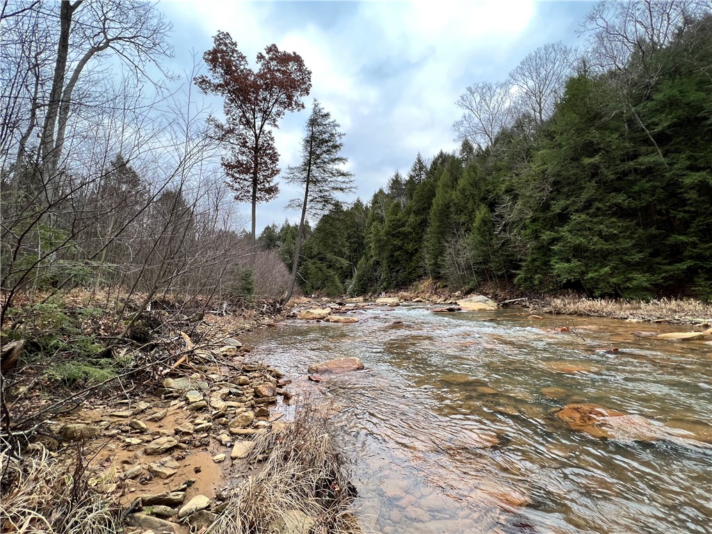 Sligo, Pennsylvania 16255, United States, ,Residential,Active,171580