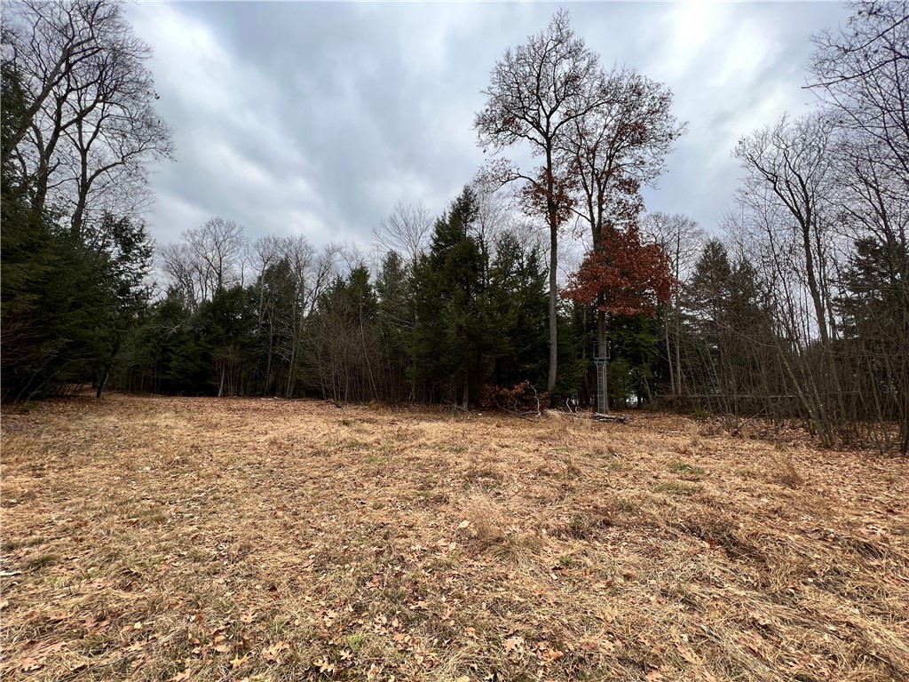 Sligo, Pennsylvania 16255, United States, ,Residential,Active,171580