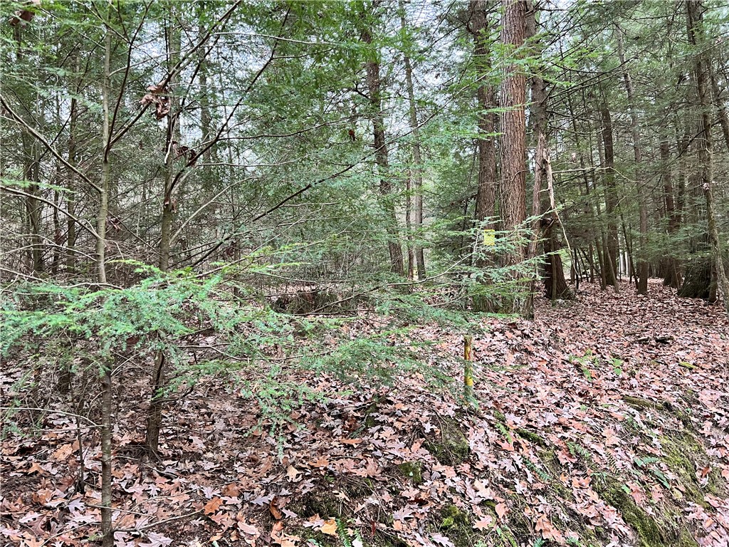 Sligo, Pennsylvania 16255, United States, ,Residential,Active,171580