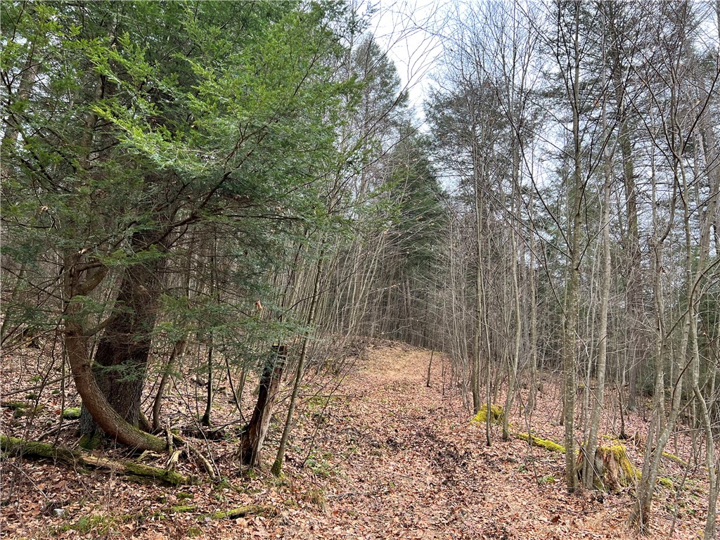 Sligo, Pennsylvania 16255, United States, ,Residential,Active,171580