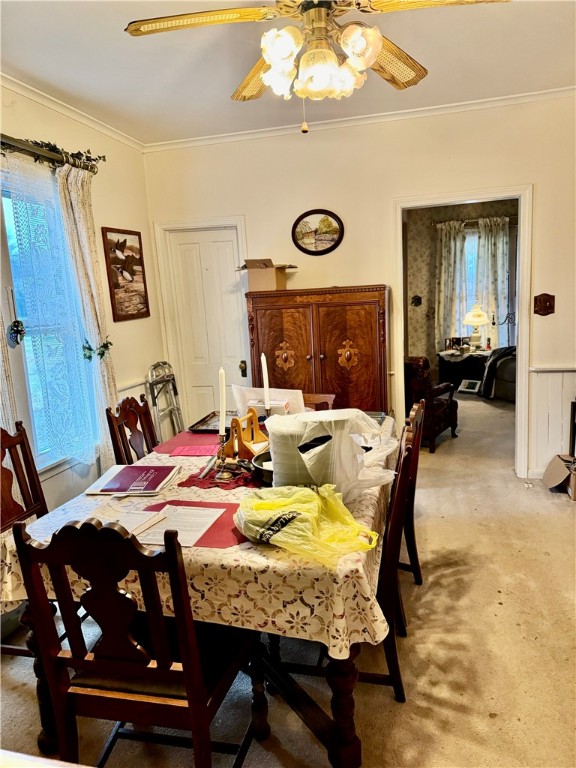 2597 S Leesburg Grove City Rd Rd, Springfield Twp - MER, Kentucky image 8