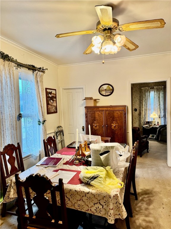 2597 S Leesburg Grove City Rd Rd, Springfield Twp - MER, Kentucky image 6