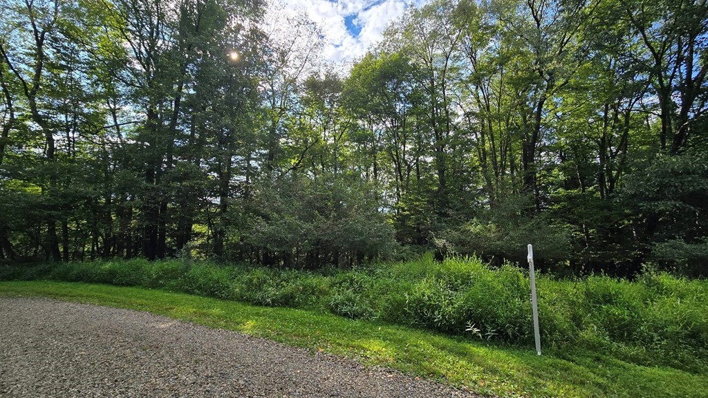 0 Orchard Dr
