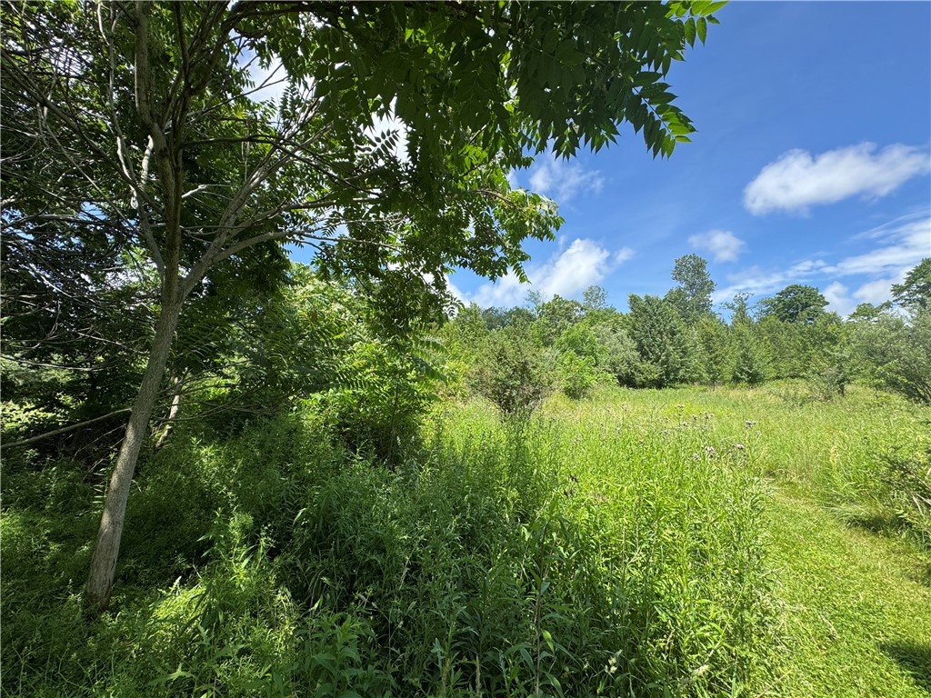 White Twp - Ind, Pennsylvania 15701, United States, 3 Bedrooms Bedrooms, ,1 BathroomBathrooms,Residential,Active,80662