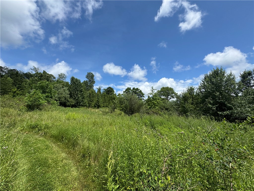 White Twp - Ind, Pennsylvania 15701, United States, 3 Bedrooms Bedrooms, ,1 BathroomBathrooms,Residential,Active,80662