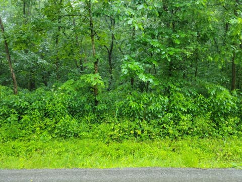 Photo for 0 E Hookstown Grade Road