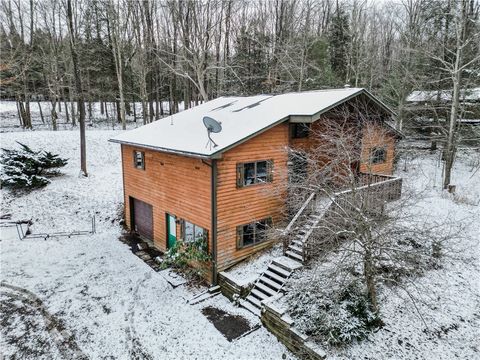 1128 Peninsula Drive Indian Lake Boro PA 15926