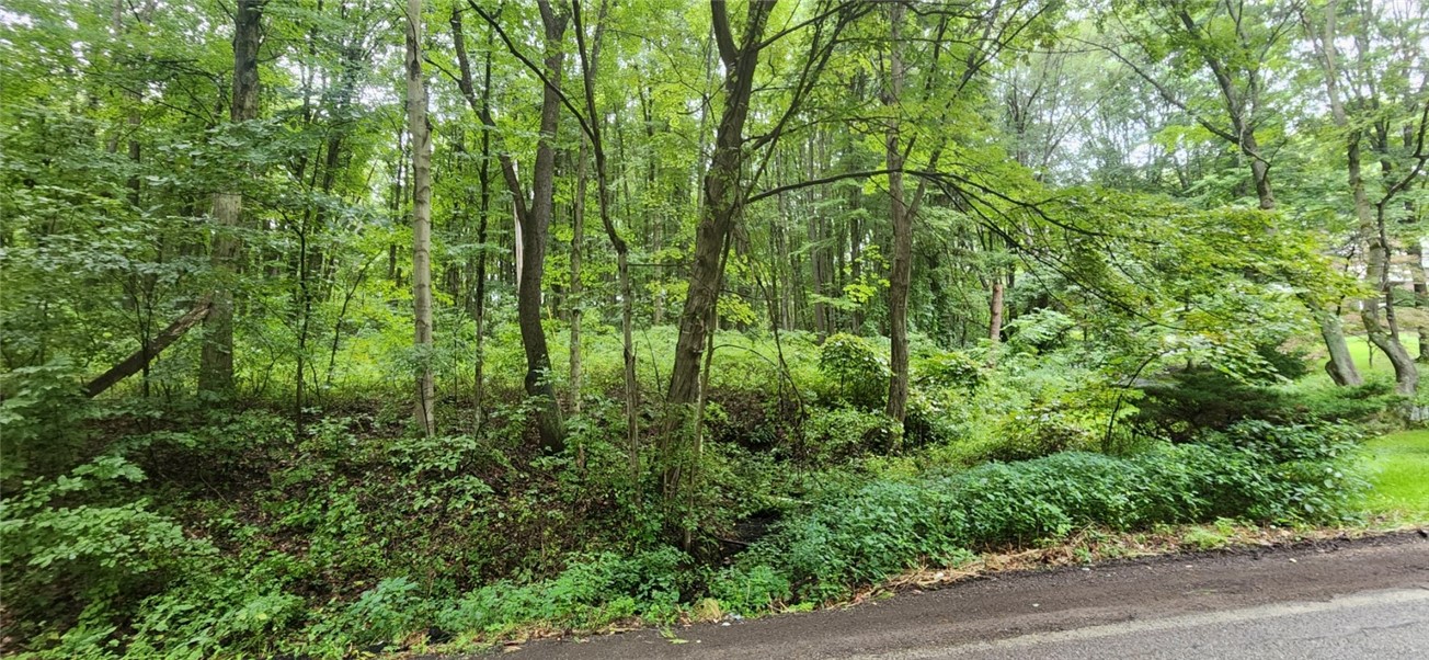 00 Shenango Road