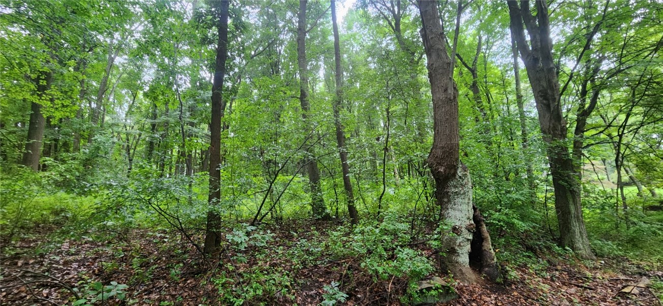 00 Shenango Road
