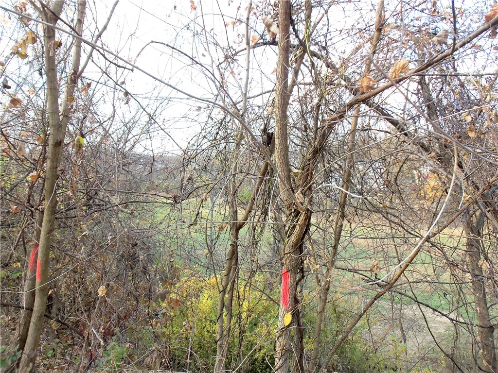 Chartiers, Pennsylvania 15301, United States, ,Residential,Active,124197