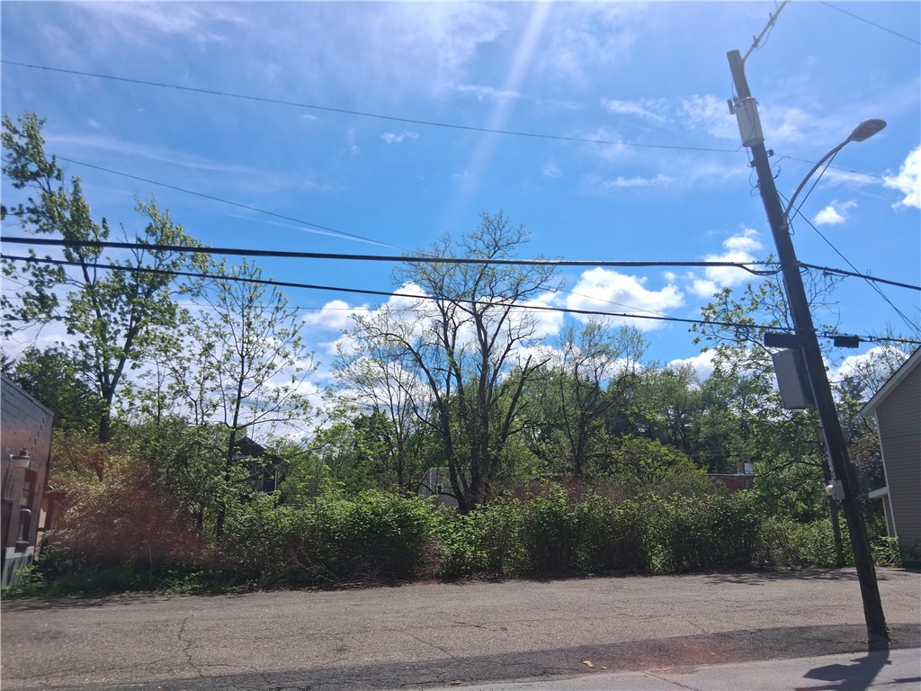 665 Bower Hill Road Rd, Bridgeville, Pennsylvania image 5