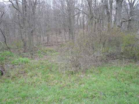 Photo for 0 Beatty Run Rd