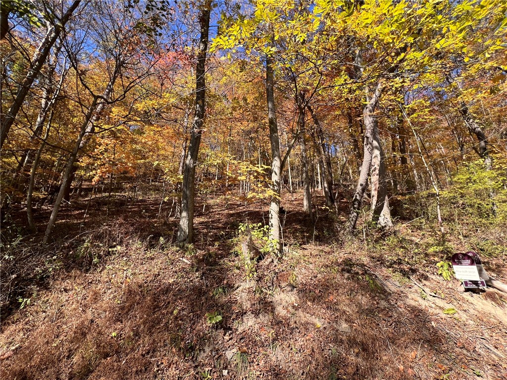 19 Acres Along Climax Road