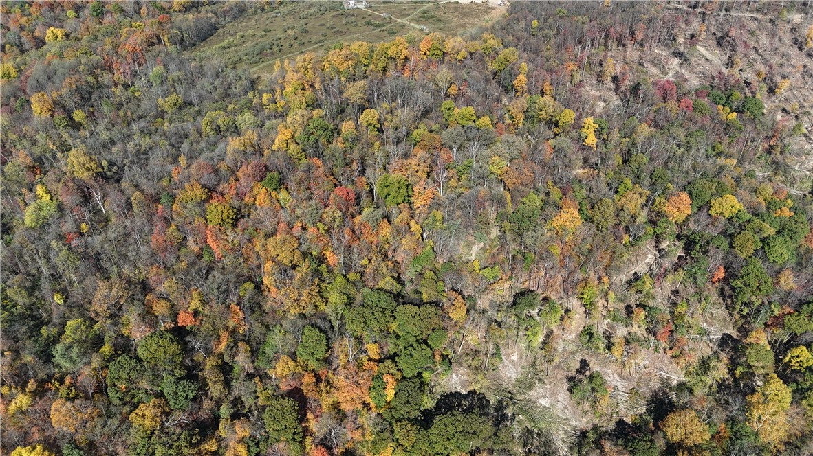 19 Acres Along Climax Road