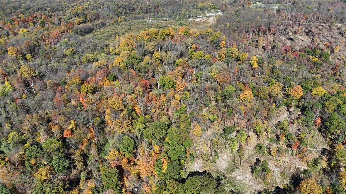 19 Acres Along Climax Road