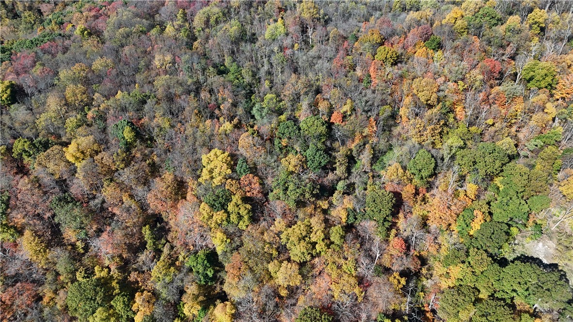 19 Acres Along Climax Road
