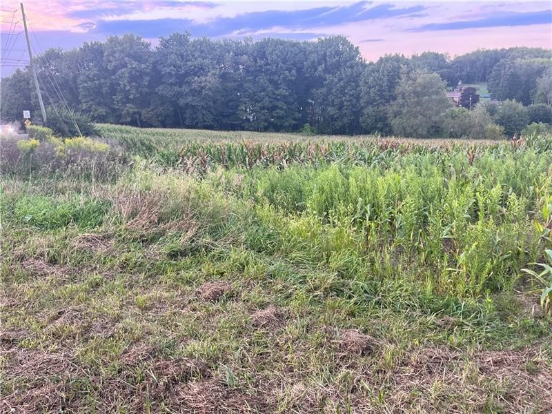 Lot #1 Saxonburg Road, Twp of But SE, Kentucky image 4