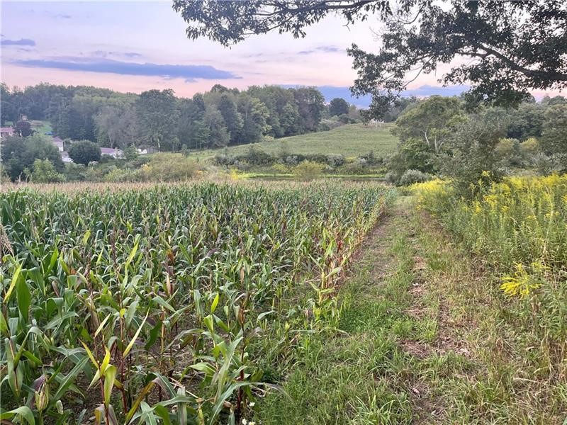 Lot #1 Saxonburg Road, Twp of But SE, Kentucky image 1