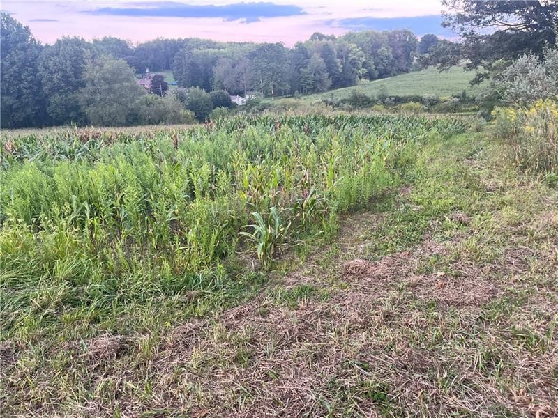 Lot #1 Saxonburg Road, Twp of But SE, Kentucky image 2