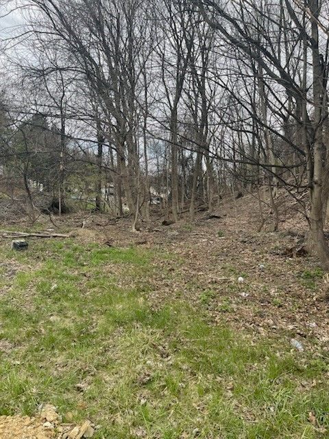 Vacant Land For Sale - Spring St<br/> West Mifflin, PA 15122