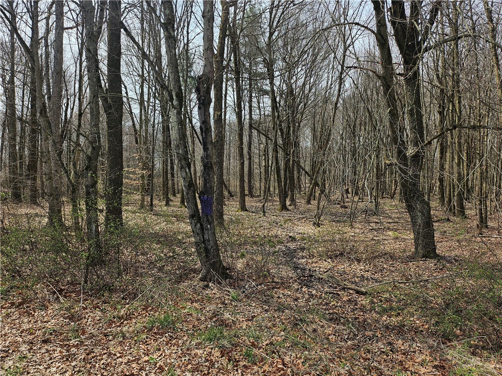 Plain Grove Twp, Pennsylvania 16156, United States, ,Residential,Pending,107803