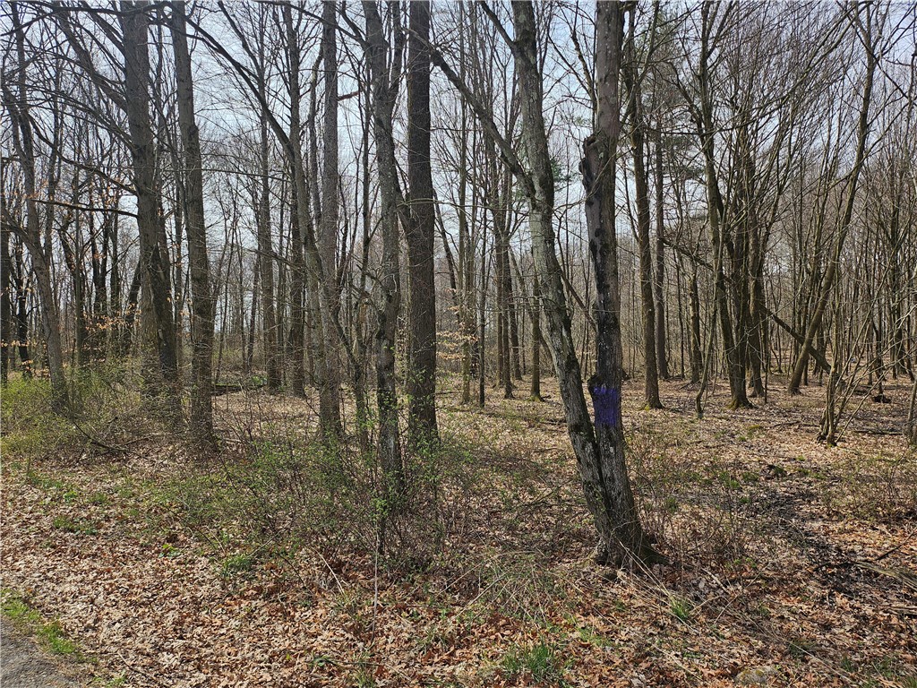 Plain Grove Twp, Pennsylvania 16156, United States, ,Residential,Pending,107803