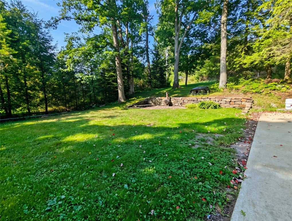 458 Freeman Falls Rd