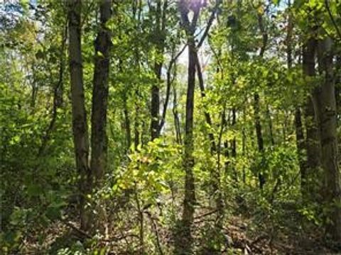 000 Lot 24 Dally Road Long Branch Boro PA 15423