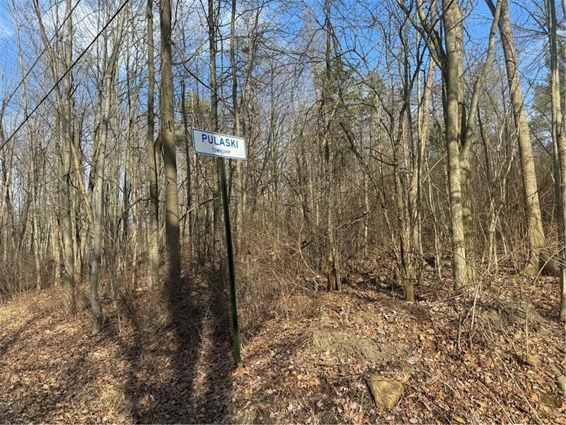 Pulaski Twp - Law, Pennsylvania 16143, United States, ,Commercial,Active,6775