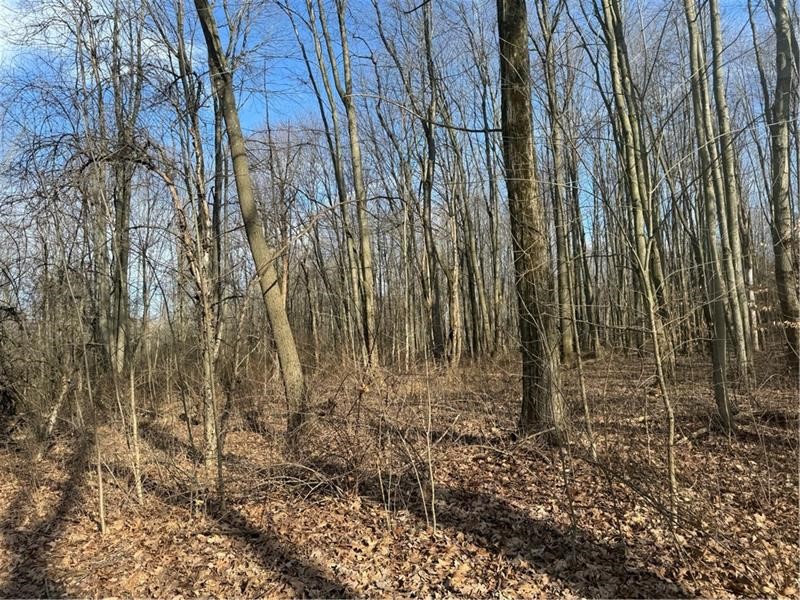 Pulaski Twp - Law, Pennsylvania 16143, United States, ,Commercial,Active,6775