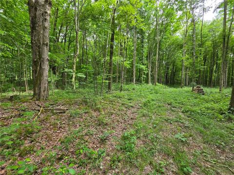 Photo of 0 Fox Mine Rd, Jackson Center, PA 16133 (MLS # 1760852)