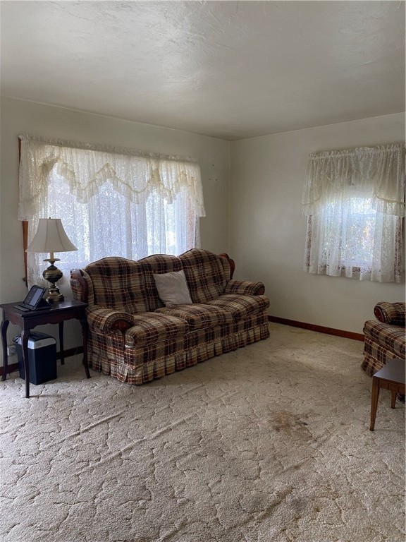 1203 Vine St St, West Newton, Pennsylvania image 4