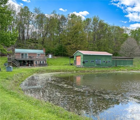 Photo of 401 Beefalo Rd, Ford City, PA 16226 (MLS # 1751828)