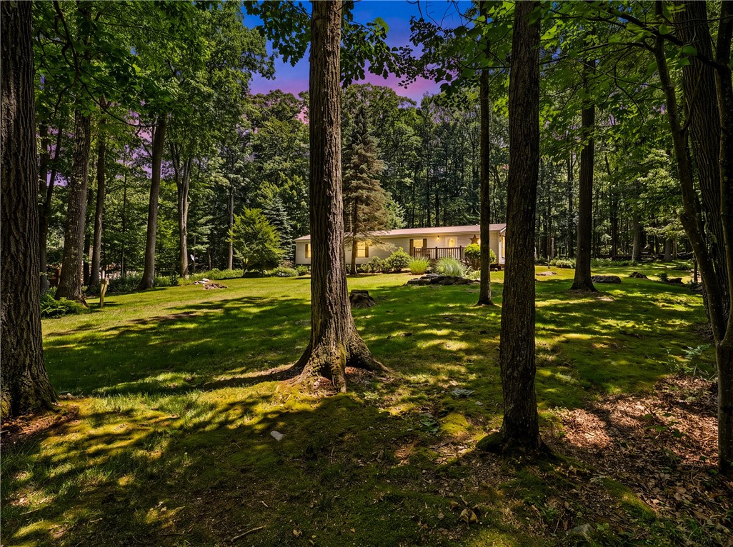 Photo 1 of 35 — 175 Dons Road, Addison Twp, PA 15540