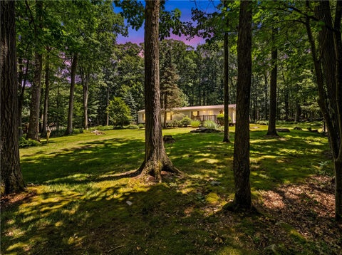 Photo for 175 Dons Road